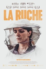 La Ruche streaming