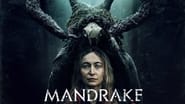 Mandrake