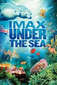 Under the Sea 3D 2009 مشاهدة وتحميل فيلم مترجم بجودة عالية