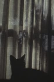 CAT ＆ CURTAIN