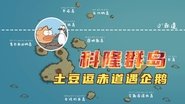 【地球 洋流】科隆群岛，土豆逗赤道遇企鹅