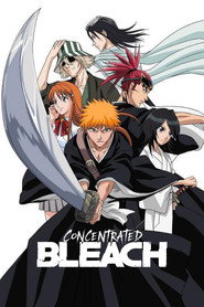 Concentrated Bleach постер