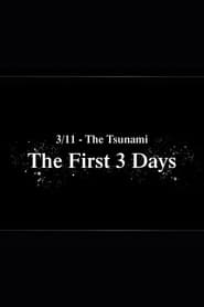 3/11 - The Tsunami: The First 3 Days (2021)