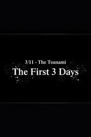 3/11 - The Tsunami: The First 3 Days (2021)
