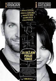 HD Silver Linings Playbook 2012