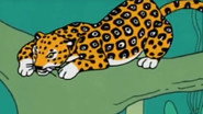 Le jaguar