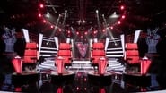 The Voice of Holland en streaming