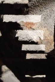 Poster Primitive Cinema 2015