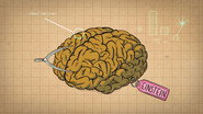 How Do You Become a Genius?