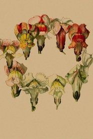 Stories In Place: Plante. (2020)