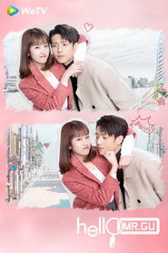 Hello Mr. Gu poster