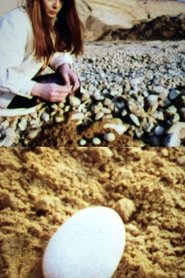 From One To Four Pebbles