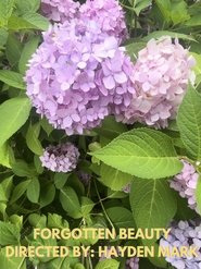 Forgotten Beauty (2024)