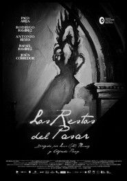 The Trail Left by Time