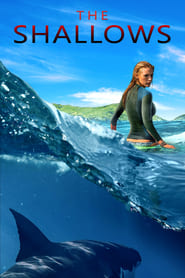 The Shallows (2016) Dual Audio [Hindi-English] Movie Download & Watch Online BluRay 480P, 720P & 1080p