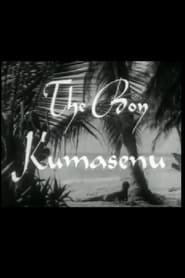 Poster The Boy Kumasenu