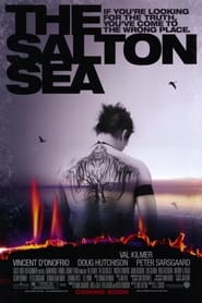 Море Салтона постер