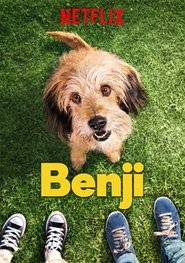 Benji постер