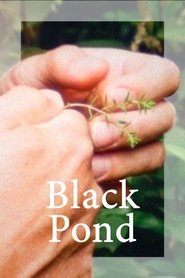 Poster Black Pond 2018