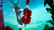 Solid Serenade