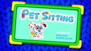 Pet Sitting