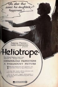 Poster Heliotrope