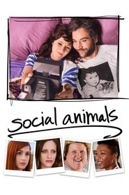 Poster Social Animals