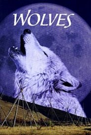 Poster Wölfe 1999