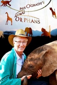 Paul O'Grady's Animal Orphans poster