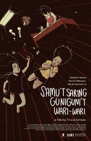 Poster Sundry Musings & Presumptions 2017