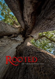 Poster Rooted - Season 2 Episode 2 : Tangled in the Tides 2022