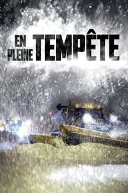 En pleine tempête (2016) En pleine tempête (2016)