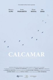 Poster Calcamar 2019