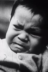 Poster The Witness or Timid Expectations 1984