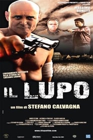 Poster Il Lupo