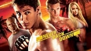 Never back down 