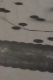 Poster Patterns of Lights and Shadows 2017