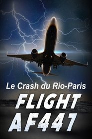 Vol AF 447, Le crash du Rio-Paris
