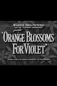 Poster Orange Blossoms for Violet