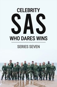Series 7