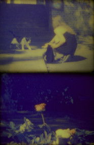 Sunday Afternoon 2020