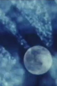 Poster for From the Ionosphere