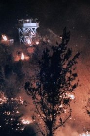 Poster Angesichts der Wälder 1995