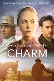 Love Finds You in Charm постер