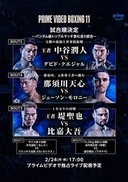 PRIME VIDEO BOXING 11 (2025)