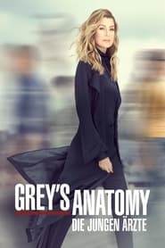 Grey's Anatomy - Staffel 18 (1970)