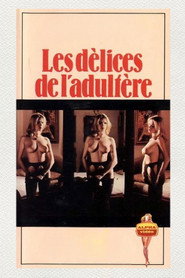 Delights of Adultery постер