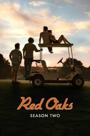 Red Oaks Temporada 2 Episodio 6