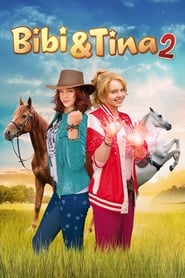 Bibi & Tina: Bewildered and Bewitched (2014)