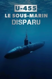 U-455, le sous-marin disparu (2013)